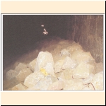 karmfuzp-18a.htm